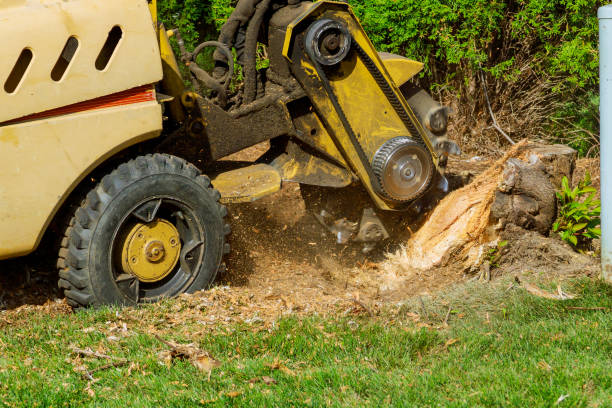 Best Lot and Land Clearing  in Kirksville, MO